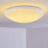 Brighton Taklampa LED Vit, 1-ljuskällor, Fjärrkontroll, Färgväxlare