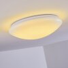 Brighton Taklampa LED Vit, 1-ljuskällor, Fjärrkontroll, Färgväxlare