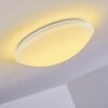 Brighton Taklampa LED Vit, 1-ljuskällor, Fjärrkontroll, Färgväxlare