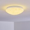 Brighton Taklampa LED Vit, 1-ljuskällor, Fjärrkontroll, Färgväxlare