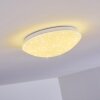 Brighton Taklampa LED Vit, 1-ljuskällor, Fjärrkontroll, Färgväxlare