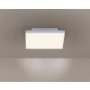 Paul Neuhaus Lampor FRAMELESS Taklampa, Panel LED Vit, 1-ljuskällor, Fjärrkontroll