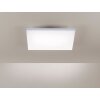 FRAMELESS Taklampa, Panel LED Vit, 1-ljuskällor, Fjärrkontroll