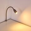 Alsea Klämlampa, Skrivbordslampa, Bordslampa LED Nickel matt, 1-ljuskällor, Rörelsedetektor