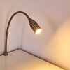 Alsea Klämlampa, Skrivbordslampa, Bordslampa LED Nickel matt, 1-ljuskällor, Rörelsedetektor