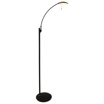 Steinhauer Zenith Golvlampa LED Svart, 1-ljuskällor