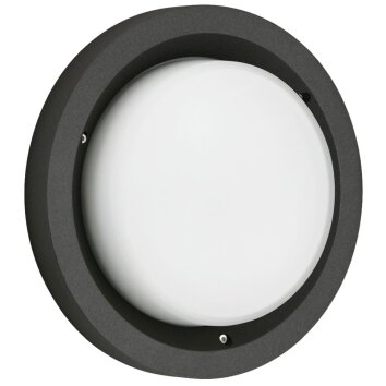 Albert Lampor 6410 Taklampa LED Svart, 1-ljuskällor