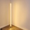 Pipe Golvlampa LED Nickel matt, 1-ljuskällor, Fjärrkontroll, Färgväxlare