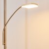 Thyolo strålkastare, Golvlampa LED Stål borstat, 2-ljuskällor