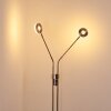 Gulkana Golvlampa LED Nickel matt, 2-ljuskällor