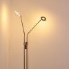 Gulkana Golvlampa LED Nickel matt, 2-ljuskällor