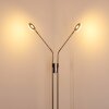 Gulkana Golvlampa LED Nickel matt, 2-ljuskällor