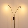 Gulkana Golvlampa LED Nickel matt, 2-ljuskällor