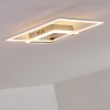 Chilkat Taklampa LED Nickel matt, 1-ljuskällor