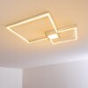 Narpes Taklampa LED Nickel matt, 1-ljuskällor