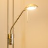 Rom strålkastare, Golvlampa LED Nickel matt, 2-ljuskällor