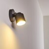 Apenrader Utomhusbelysning, Vägglampa LED Antracit, 1-ljuskällor